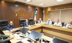 در کمیسیون بهداشت شورا مطرح شد: اکثر بیمارستانهای رشت ناایمن هستند | پارس یکی از ۱۱ بیمارستان برتر کشور است