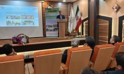 رئیس جهاد کشاورزی گیلان: اقتصادیشدن کشاورزی مانع تغییر کاربری اراضی است