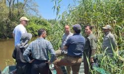 مدیریت آب تالاب انزلی با اجرای طرح اضطراری وارد فاز جدید شد