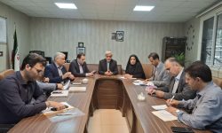 فرماندار رشت خبر داد: توقف صدور مجوز جدید واحدهای آزادپز در رشت؛ ساماندهی و نظارت بر نانوایی‌ها تشدید می‌شود