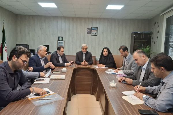 فرماندار رشت خبر داد: توقف صدور مجوز جدید واحدهای آزادپز در رشت؛ ساماندهی و نظارت بر نانوایی‌ها تشدید می‌شود