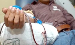 ۱۷۶ بیمار هموفیلی در گیلان؛ تحت پوشش رایگان بیمه سلامت